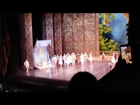 El Lago de los cisnes en el Teatro Colón 