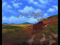 Training And Fun The Lion King 2 Polish