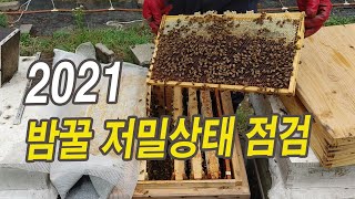 2021 밤꿀 저밀상태 점검.