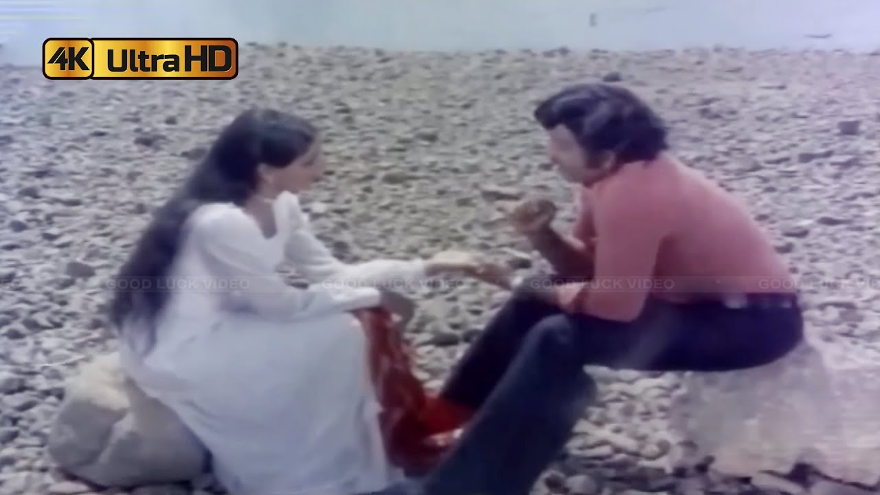 Thogai Kaiyil Regai Song Lyrics | Veettukku Veedu Vasappadi Tamil | S. P. Balasubrahmanyam and S. Janaki