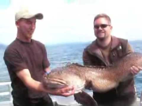 Alaska Fishing - Salmon Halibut LIng Cod - Seward, AK