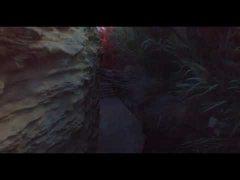 AMCHI, TERNOVOY - Прочь