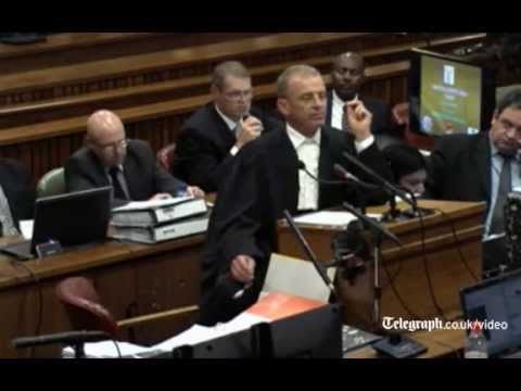 Oscar Pistorius murder trial: 'Reeva wanted to leave'