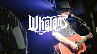 James McMurtry - Every Little Bit Counts // Whelans 29-01-2017