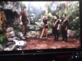 Pair Of Kings Disney Xd