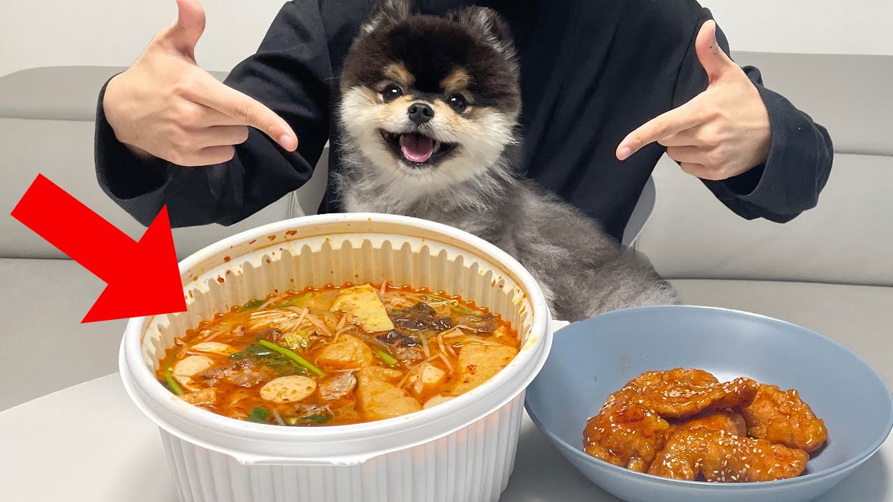 마라탕 처음 먹어봐요 (개 매움)