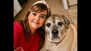 Coping when you lose your furry friend