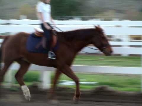 Stephanie Trotting Keeler at Heartland Ranch