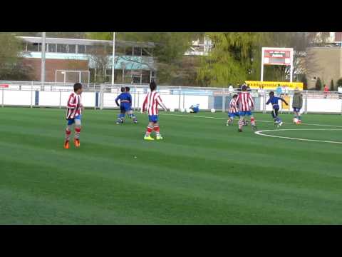 Haagse Hout F2 - Quick Steps F3