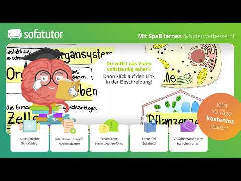 Zelldifferenzierung Biologie – Organisationsebenen von Tier- & Pflanzenzellen