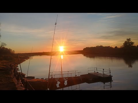 Pesca en Familia en Complejo El Tronco. Gualeguay. Entre Rios 