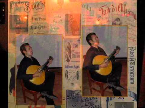 Hugo Afonso-A Rosinha dos Limões