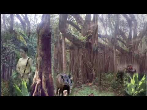 Pu LC-a  thil tawn ngaihnawm-2 ( In lam leh ram lama a thil tawn ngaihnawm tak chu.)