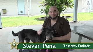 PBSO Inmates Train Therapy Dogs