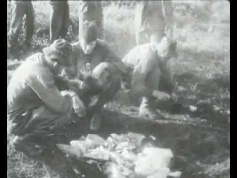Battle of Long Tan - the Morning After Historical Film - Vietnam War