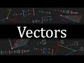 Everything You Need To Know About VECTORS