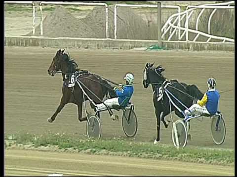 Trotto 24/02/2017 - 2ª corsa