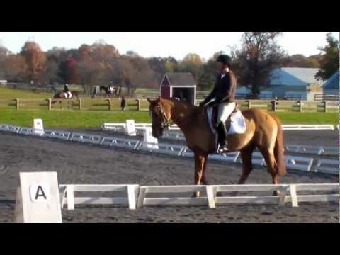 Woody Dressage: Waredaca Training Level