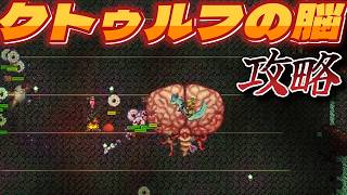 【Terraria】４・マスター・クトゥルフの脳攻略＆蜂との戦い！！