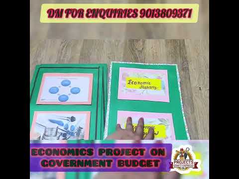 Economics Project on Government Budget