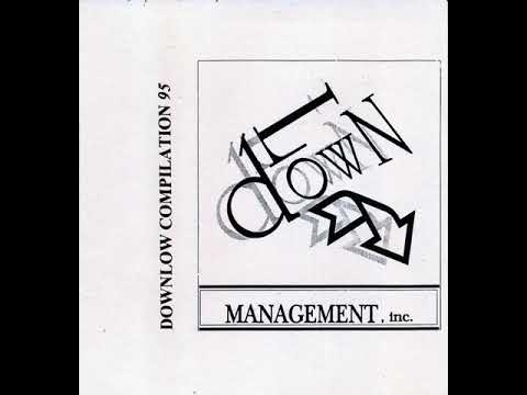 Various - Downlow Compilation 95 (1995)