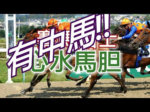 [純文字]賽馬貼士|賽馬心水馬胆6月7日第1至10場(2020)無第6,9場
