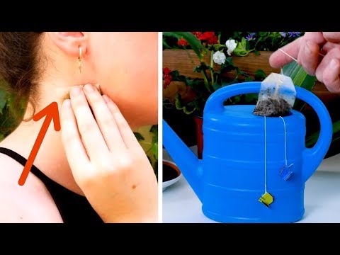 커피 대신 마신 페파민트 차, 내몸의 놀라운 변화!