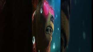 Kuma & Panda Love's Battle