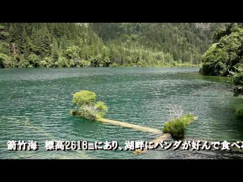 Província de Sichuan, China Jiuzhaigou, Huanglong, Monte Emei, Excursão ao Patrimônio Mundial do Grande Buda de Leshan ① Jiuzhaigou