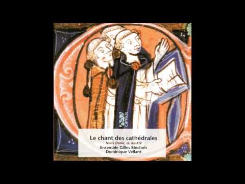 Ensemble Gilles Binchois, Dominique Vellard - Alleluia, Nativitas