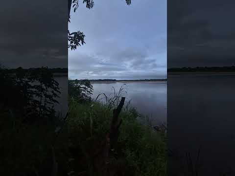 Nuestro campamento de Pesca, Río Japurá, Amazonas Brasil 🇧🇷🎣🐟