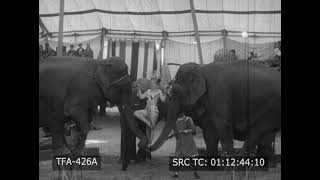 Circus Day In Our Town (1949)