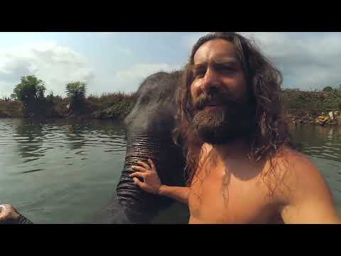 November Project • KOI