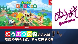 どうぶつの森の事は1㍉も知らないけどやる３日目【LIVE】