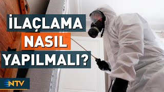 Doğru İlaçlama Nasıl Olmalı? | NTV