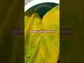 साड़ी पर लगा दूसरा रंग कैसे हटाएँ Saree Sangam