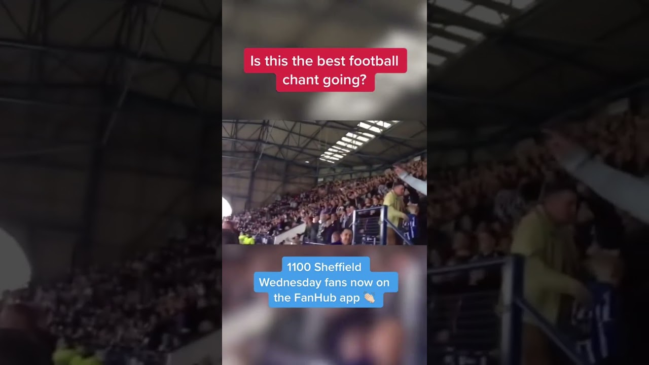 Best chant going? #sheffieldwednesday #swfc #eflchampionship #leagueone #leaguetwo
