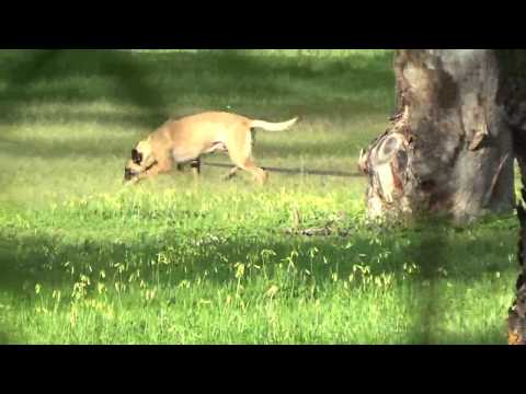 Cheryl & Talina TR IPO3