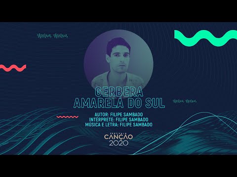 Video thumbnail for Gerbera Amarela do Sul