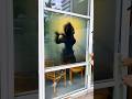 Dwarkadhish Status Radhe Krishna Status Krishnastatus Dwarkadhish Dwarka Shorts Trending