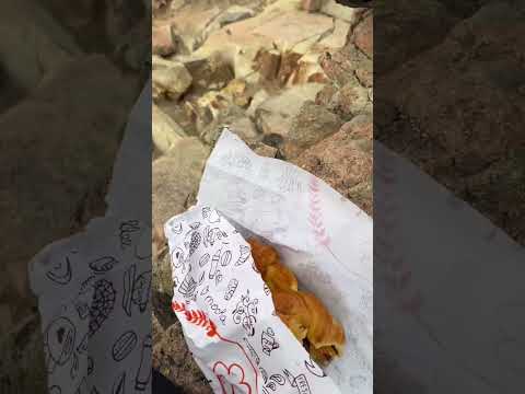 Santa Cruz - El Chaltén 🦅