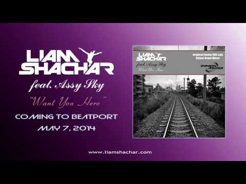 Liam Shachar feat. Assy Sky - Want You Here