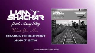 Liam Shachar feat. Assy Sky - Want You Here