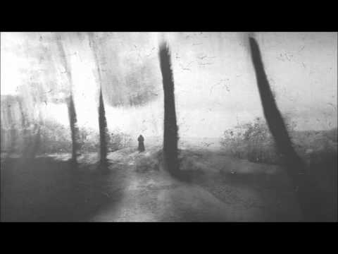 Smitty The BG & Lux Natura - Leaves