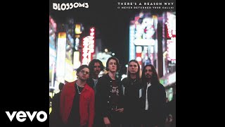 Blossoms - There&#39;s A Reason Why (I Never Returned Your Calls) [Audio]