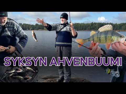 JIGIAHVENIA RANNALTA - SYYSAHVENEN RANTAKALASTUS – PARHAAT JIGIT, KALAPAIKAT, VINKIT JA TEKNIIKAT 