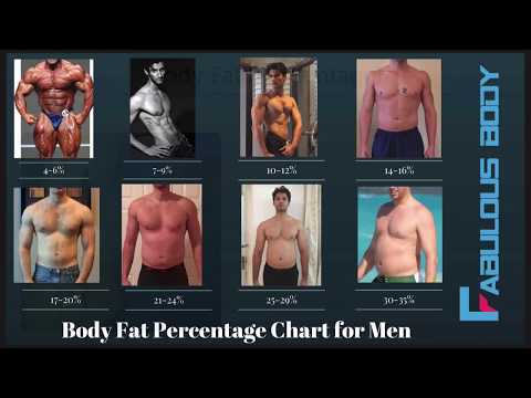 image-At what body fat percentage are abs visible?