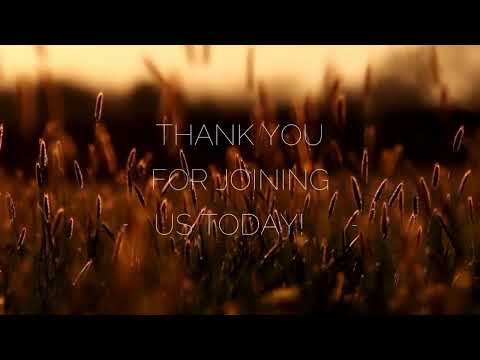 What did Paul mean by “WE ARE DELIVERED FROM THE LAW"?