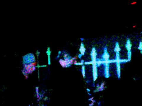 Nils Koppruch _nicht die Bienen.mp4