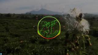 Dawin - Life of the party (Aditya Remix)